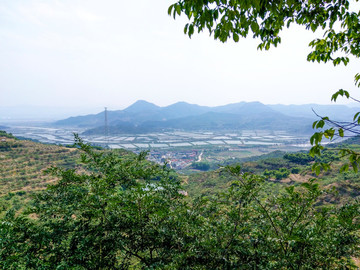 田園風(fēng)光