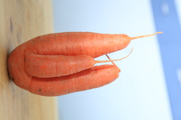 蔬菜蘿卜