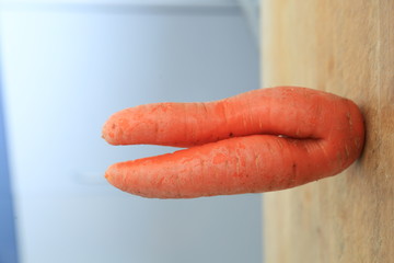 蔬菜蘿卜