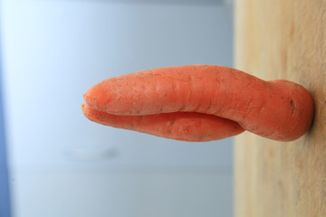 蔬菜蘿卜