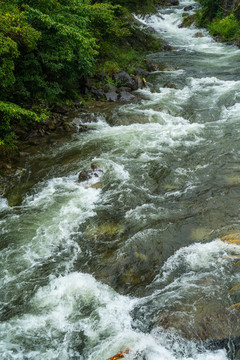 山澗溪流