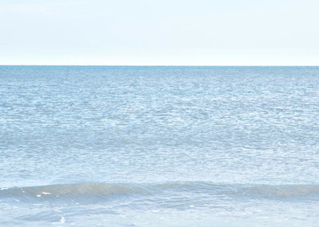 海