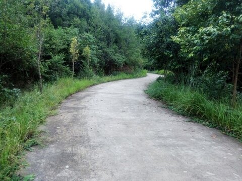 鄉(xiāng)村公路