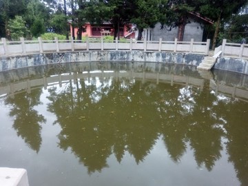 水池