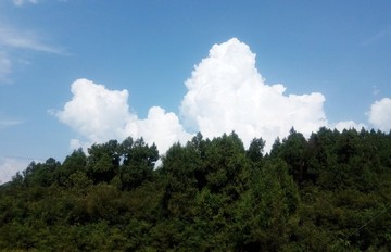 白云青山
