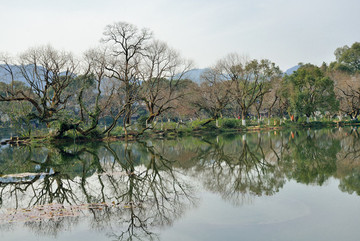 西湖湖心公園風景