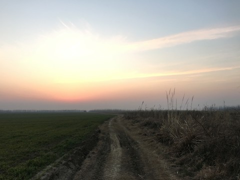 農(nóng)田