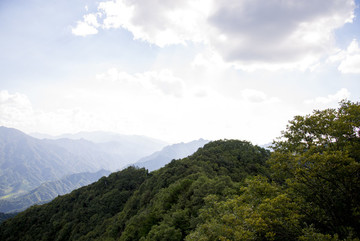 遠山