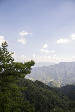 山