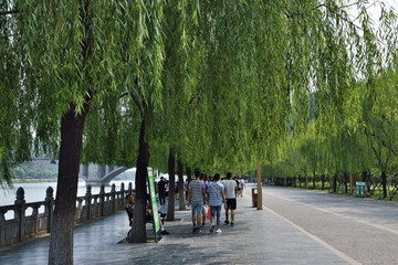 景區(qū)道路
