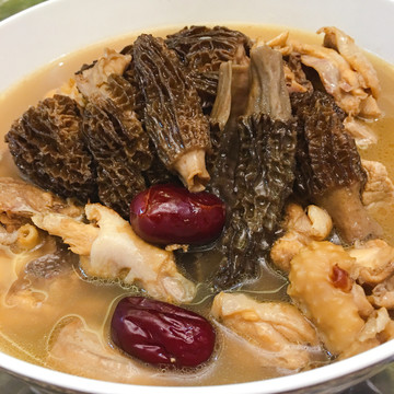 羊肚菌