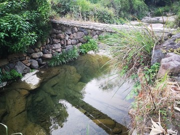小橋流水