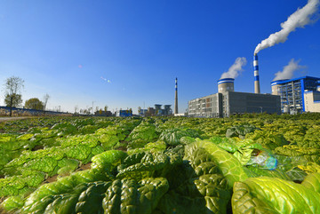 華美電廠