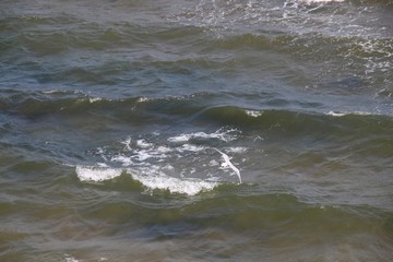 海水