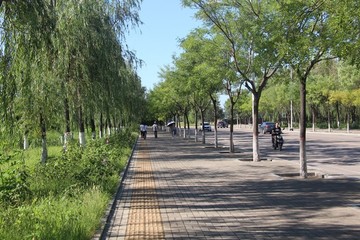 燕山大學(xué)校區(qū)道路