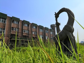 權(quán)臺(tái)煤礦
