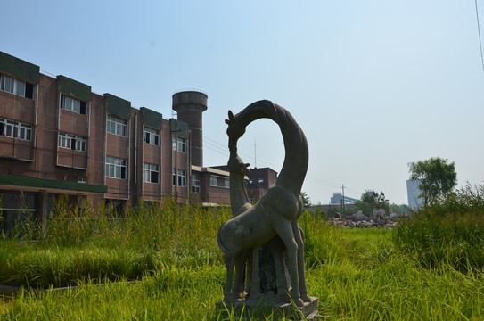 權(quán)臺煤礦