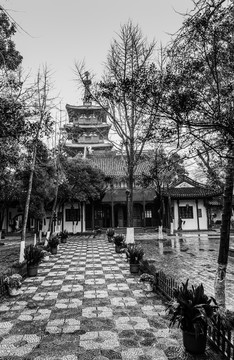 春雨寒山寺
