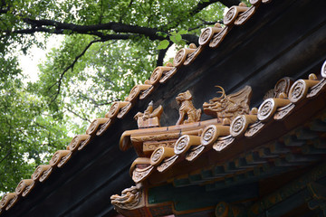 南京明孝陵