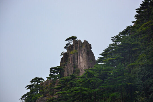 黃山景色