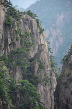 黃山