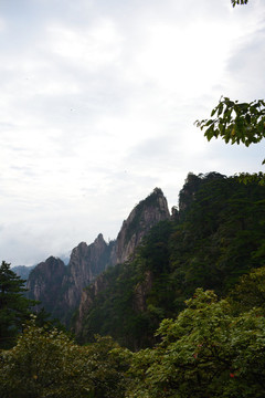 黃山