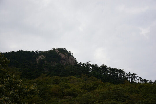 黃山