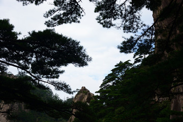 黃山風(fēng)景