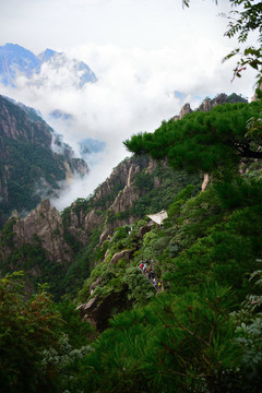 黃山風(fēng)景