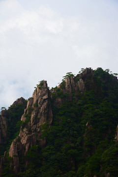 黃山實拍