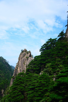黃山實拍