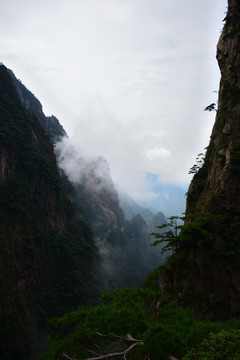 黃山景色