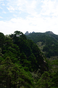 黃山景色
