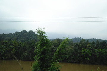 高山植被