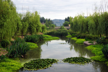 鄉(xiāng)村河道綠化