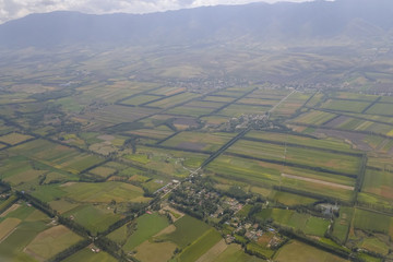 田野