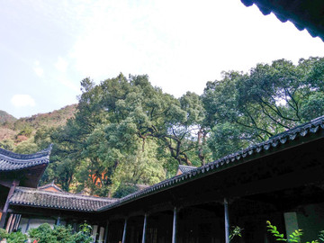 千年古剎