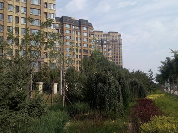 城市建筑