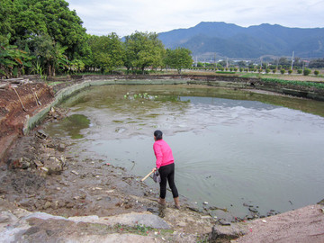 魚塘