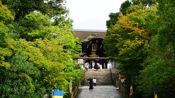 京都風(fēng)光