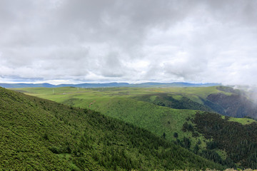 甘孜理塘高山草甸高原草原