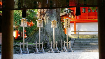奈良寺廟