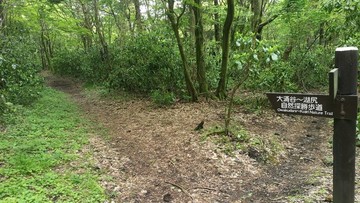 箱根