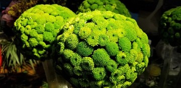 綠色花球