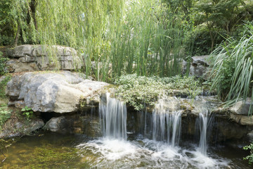 園林景觀