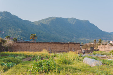 田園