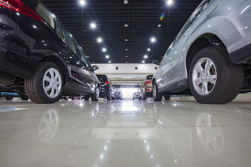 寧波,國際汽車城,銷售,展示,車