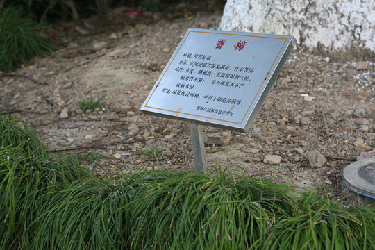 公園