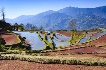 云南,旅游,風(fēng)光