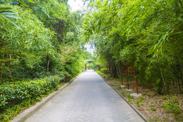 徐州漢文化景區(qū)竹林寺